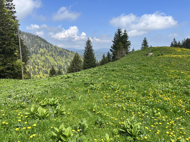 23-05-26 13-32-48 5703